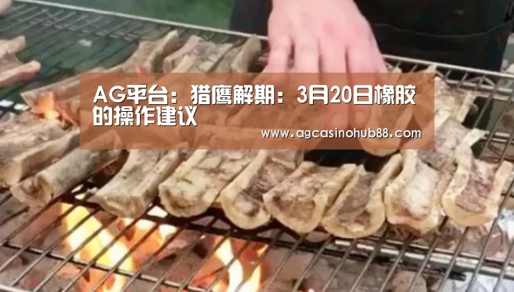 AG平台:猎鹰解期:3月20日橡胶的操作建议(图1) AG真人