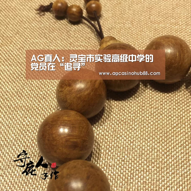 AG真人:灵宝市实验高级中学的党员在“追寻”(图1) AG下载