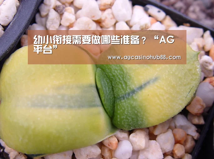 AG真人