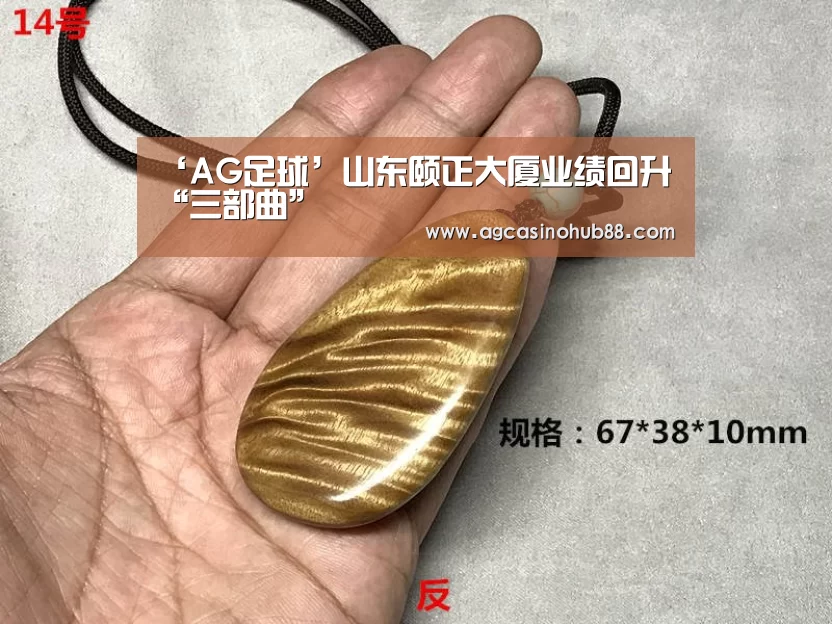 ‘AG足球’山东颐正大厦业绩回升“三部曲”(图1) AG足球
