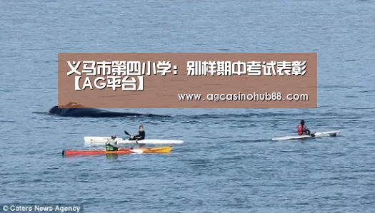 义马市第四小学:别样期中考试表彰【AG平台】(图2) AG真人