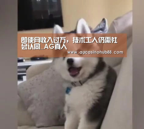 即使月收入过万,技术工人仍需社会认同_AG真人(图1) AG平台