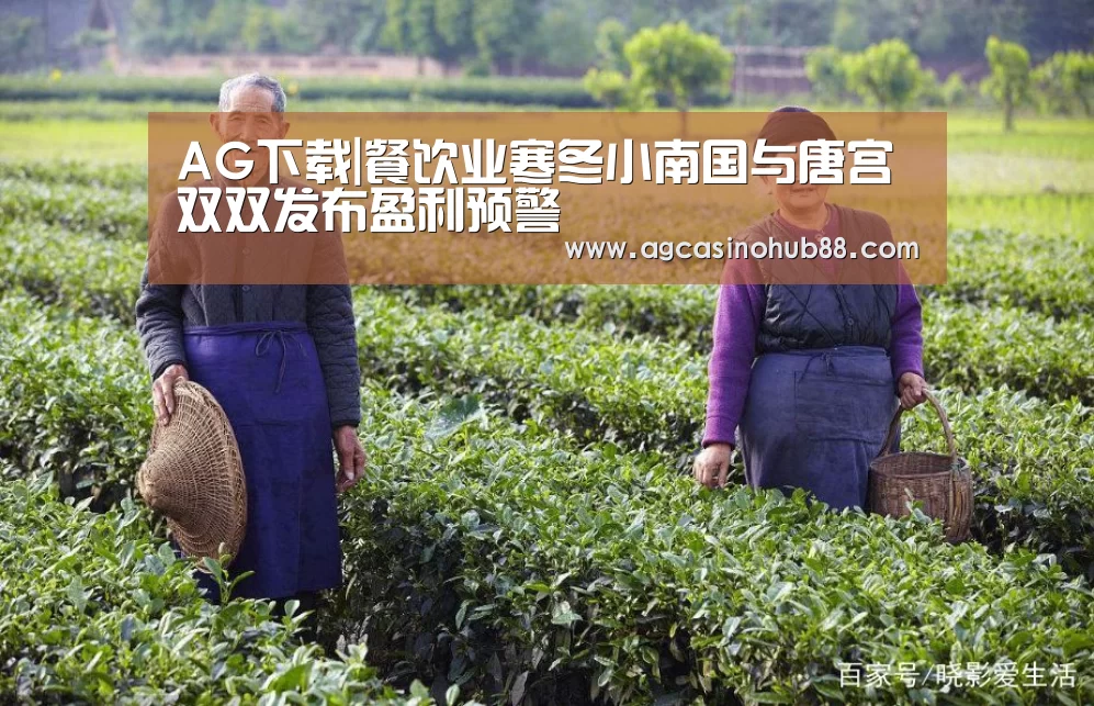 AG下载|餐饮业寒冬小南国与唐宫双双发布盈利预警(图3) AG下载